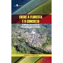 Entre a floresta e o concreto: os impactos socioculturais no povo indígena jupaú em Rondônia