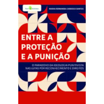 Entre a proteção e a punição: o paradoxo da ideologia punitivista nas lutas por reconhecimento e direitos