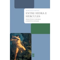 ENTRE HIDRA E HÉRCULES: PRINCÍPIOS E REGRAS CONSTITUCIONAIS