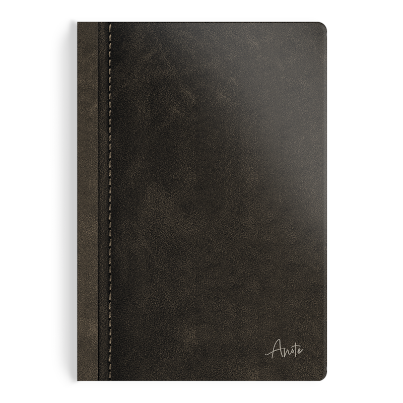 ENTRE O EXCESSO E O ESSENCIAL: LIVRO E ANOTAÇÕES