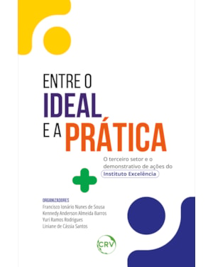 ENTRE O IDEAL E A PRÁTICA: O TERCEIRO SETOR E O DEMONSTRATIVO DE AÇÕES DO INSTITUTO EXCELÊNCIA