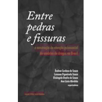 ENTRE PEDRAS E FISSURAS: A CONSTRUÇÃO DA ATENÇÃO PSICOSSOCIAL DE USUÁRIO DE DROGAS NO BRASIL
