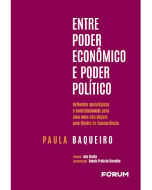 Entre poder econômico e poder político: reflexões sociológicas e constitucionais para uma nova abordagem pelo direito da concorrência