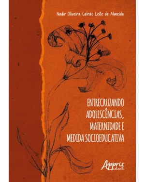 ENTRECRUZANDO ADOLESCÊNCIAS, MATERNIDADE E MEDIDA SOCIOEDUCATIVA