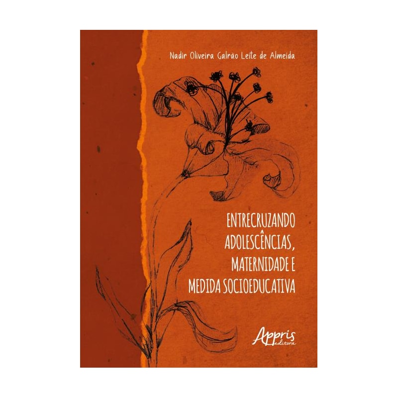 ENTRECRUZANDO ADOLESCÊNCIAS, MATERNIDADE E MEDIDA SOCIOEDUCATIVA