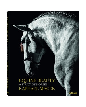 Equine beauty