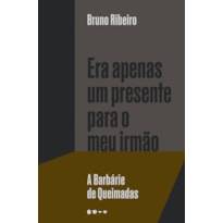 Era apenas um presente para o meu irmão: a barbárie de queimadas