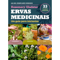 ERVAS MEDICINAIS: UM GUIA PARA INICIANTES