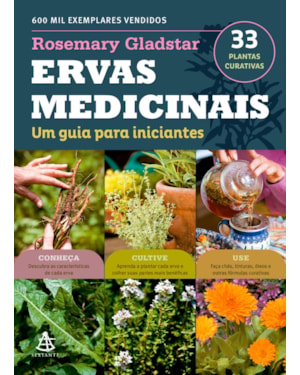ERVAS MEDICINAIS: UM GUIA PARA INICIANTES