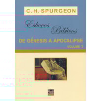 ESBOÇOS BÍBLICOS - GÊNESIS A APOCALIPSE - VOL. 1