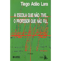 ESCOLA QUE NÃO TIVE... O PROFESSOR QUE NÃO FUI...