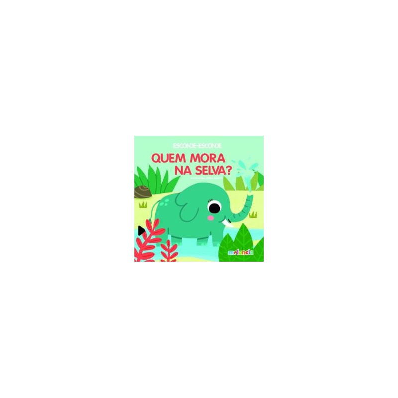 ESCONDE ESCONDE - QUEM MORA NA SELVA?