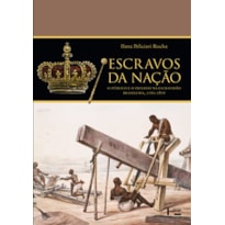 Escravos da Nação: o público e o privado na escravidão brasileira, 1760-1876