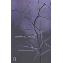 ESPINHOS E ALFINETES