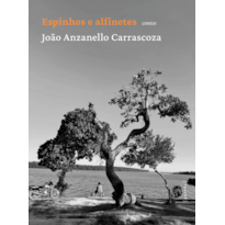 Espinhos e alfinetes