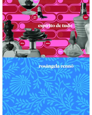ESPÍRITO DE TUDO: ROSÂNGELA RENNÓ