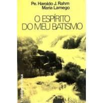 ESPIRITO DO MEU BATISMO, O