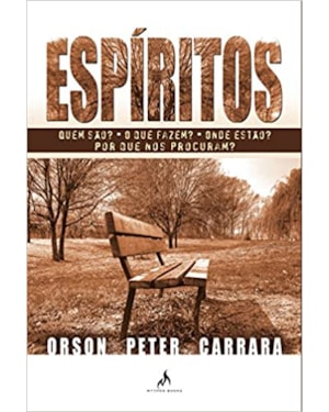 ESPÍRITOS - QUEM SÃO? O QUE FAZEM? ONDE ESTÃO? POR QUE NOS PROCURAM?