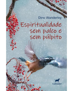 ESPIRITUALIDADE SEM PALCO E SEM PÚLPITO