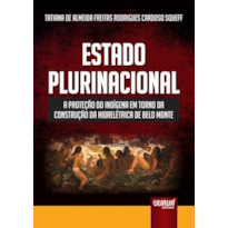 ESTADO PLURINACIONAL - A PROTEÇÃO DO INDÍGENA EM TORNO DA CONSTRUÇÃO DA HIDRELÉTRICA DE BELO MONTE