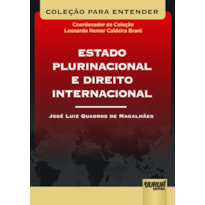 ESTADO PLURINACIONAL E DIREITO INTERNACIONAL - COLEÇÃO PARA ENTENDER - COORDENADOR DA COLEÇÃO: LEONARDO NEMER C. BRANT