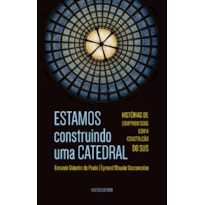 ESTAMOS CONSTRUINDO UMA CATEDRAL - HISTÓRIAS DE COMPROMISSOS COM A CONSTRUÇÃO DO SUS - VOL. 343