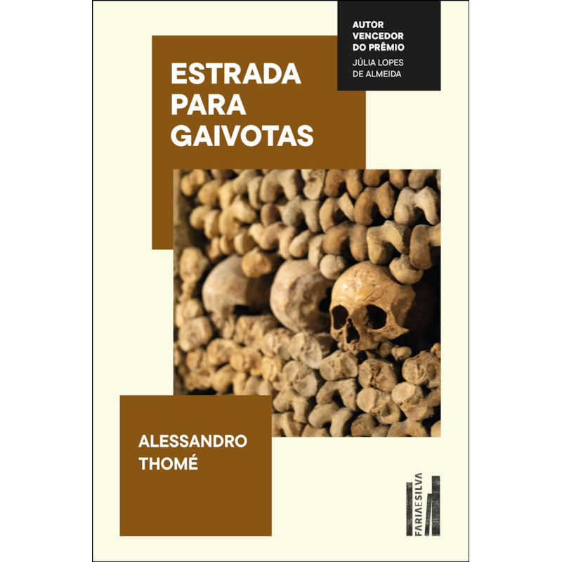 Estrada para gaivotas