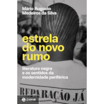 ESTRELA DO NOVO RUMO: LITERATURA NEGRA E OS SENTIDOS DA MODERNIDADE PERIFÉRICA
