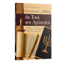 ESTUDANDO A BÍBLIA: DA TORÁ AOS APÓSTOLOS - UMA INTRODUÇÃO PRÁTICA À INTERPRETAÇÃO BÍBLICA