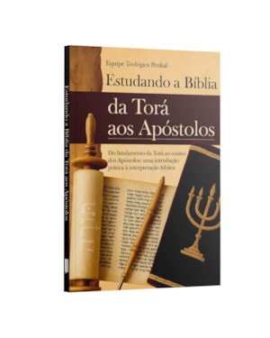 ESTUDANDO A BÍBLIA: DA TORÁ AOS APÓSTOLOS - UMA INTRODUÇÃO PRÁTICA À INTERPRETAÇÃO BÍBLICA