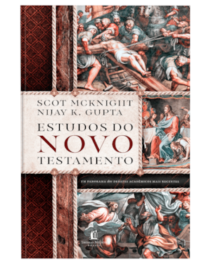 ESTUDOS DO NOVO TESTAMENTO - UM GUIA DAS DISCUSSÕES CONTEMPORÂNEAS SOBRE O NOVO TESTAMENTO