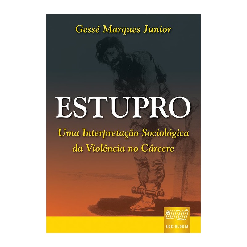 ESTUPRO - UMA INTERPRETAÇÃO SOCIOLÓGICA DA VIOLÊNCIA NO CÁRCERE