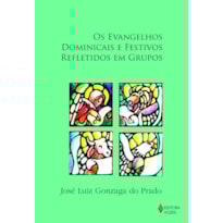 EVANGELHOS DOMINICAIS E FESTIVOS REFLETIDOS EM GRUPOS