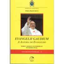 EVANGELII GAUDIUM - A ALEGRIA DO EVANGELHO DP 17