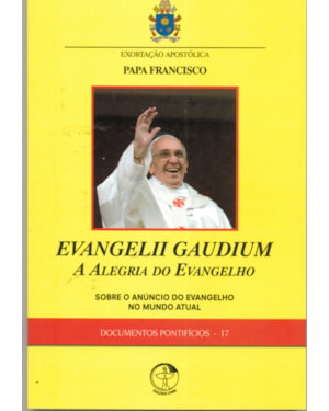 EVANGELII GAUDIUM - A ALEGRIA DO EVANGELHO DP 17