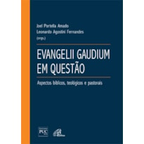 EVANGELII GAUDIUM EM QUESTÃO: ASPECTOS BÍBLICOS, TEOLÓGICOS E PASTORAIS