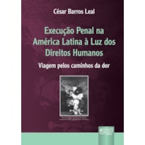 EXECUÇÃO PENAL NA AMÉRICA LATINA À LUZ DOS DIREITOS HUMANOS - VIAGEM PELOS CAMINHOS DA DOR