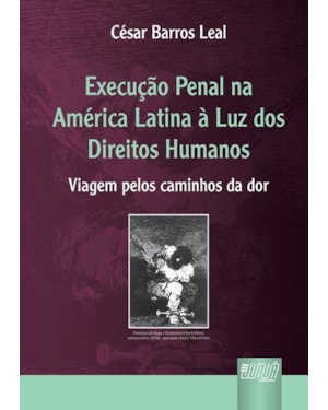 EXECUÇÃO PENAL NA AMÉRICA LATINA À LUZ DOS DIREITOS HUMANOS - VIAGEM PELOS CAMINHOS DA DOR