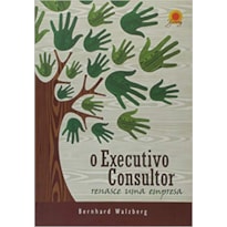 EXECUTIVO CONSULTOR, O