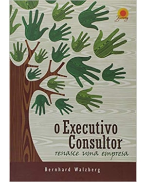 EXECUTIVO CONSULTOR, O