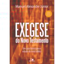 Exegese do novo testamento
