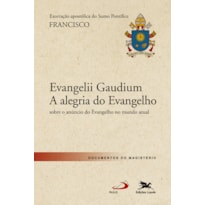 EXORTAÇÃO APOSTÓLICA "EVANGELII GAUDIUM - A ALEGRIA DO EVANGELHO": EXORTAÇÃO APOSTÓLICA DO SANTO PADRE FRANCISCO SOBRE O ANÚNCIO DO EVANGELHO NO MUNDO ATUAL