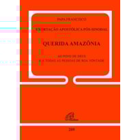 EXORTAÇÃO APOSTÓLICA PÓS-SINODAL - QUERIDA AMAZÔNIA - DOC.209