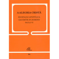 EXORTAÇÃO APOSTÓLICA SOBRE A ALEGRIA CRISTÃ - 84