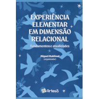 Experiência elementar em dimensão relacional: Fundamentos e atualidades