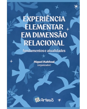 Experiência elementar em dimensão relacional: Fundamentos e atualidades