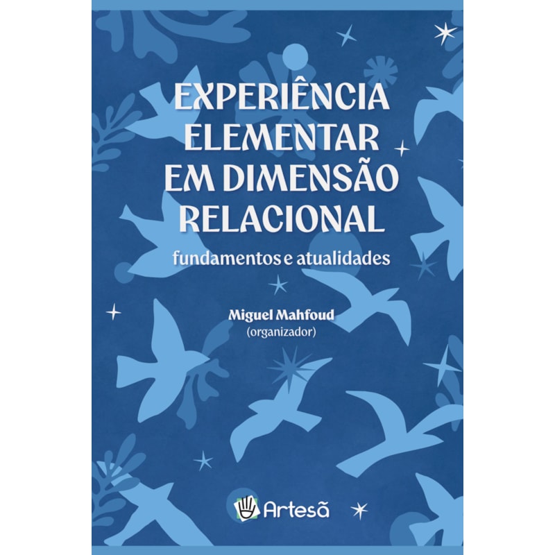 Experiência elementar em dimensão relacional: Fundamentos e atualidades