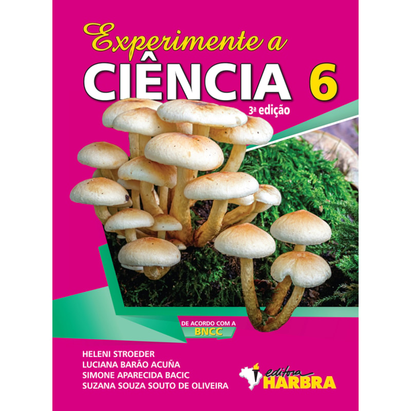 image_e34e81c7-04fa-4f58-ba90-9bae3e83fa65
