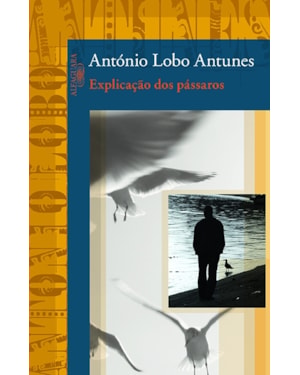 EXPLICAÇÃO DOS PÁSSAROS