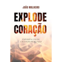 EXPLODE CORAÇÃO - EXPERIÊNCIAS DE UM AMOR PROFUNDO